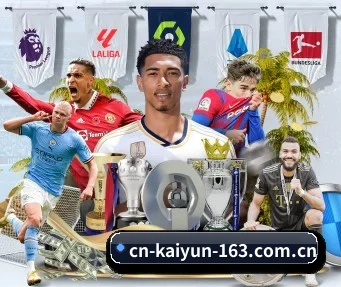 开云体育 APP(KAIYUN SPORTS)